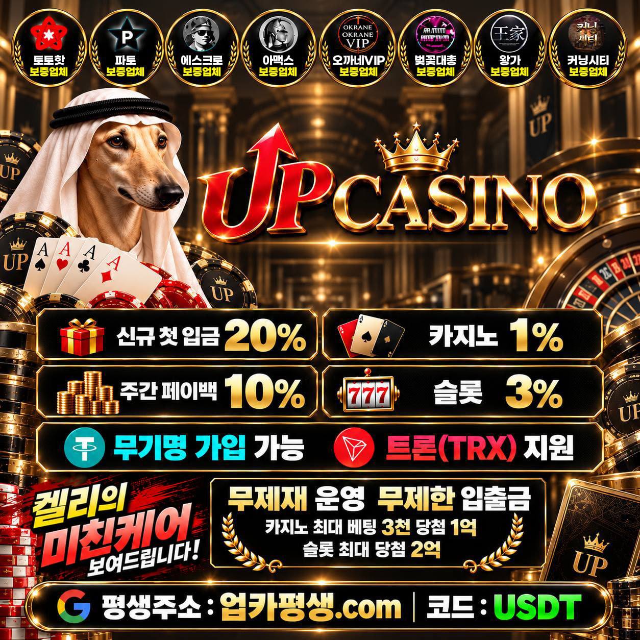 up 업 토지노 대표 사진